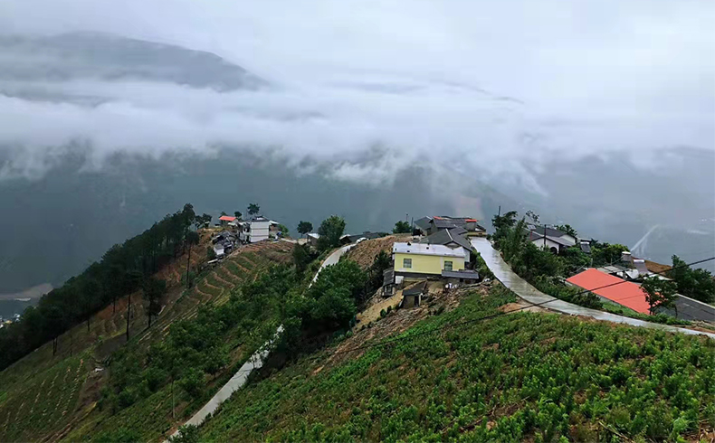 生態(tài)產(chǎn)品